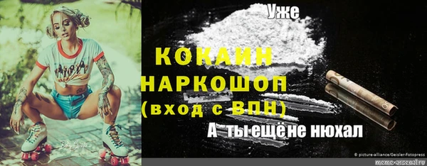 прущий лед Арсеньев