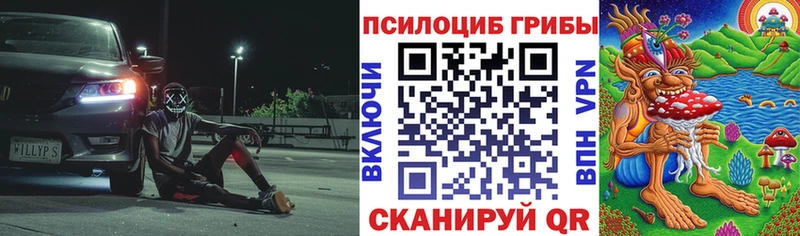 Псилоцибиновые грибы Cubensis  Купить где  Богданович 